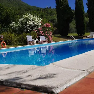 Uliveto Apartment